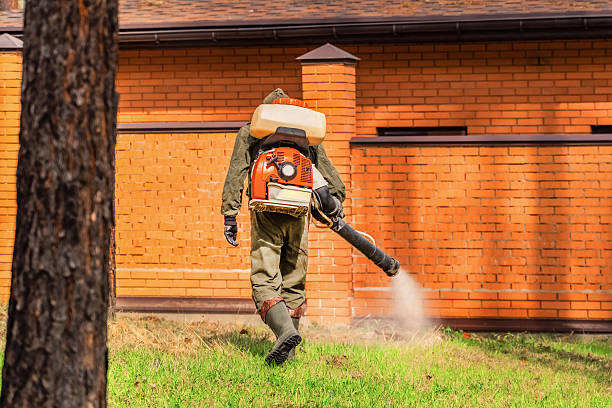 Trusted Cockroach Control service in Golden Valley, MN - Nex Pest Control